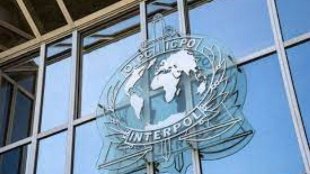 Interpol'ün BAE'li başkan adayı tepkilerin odağında