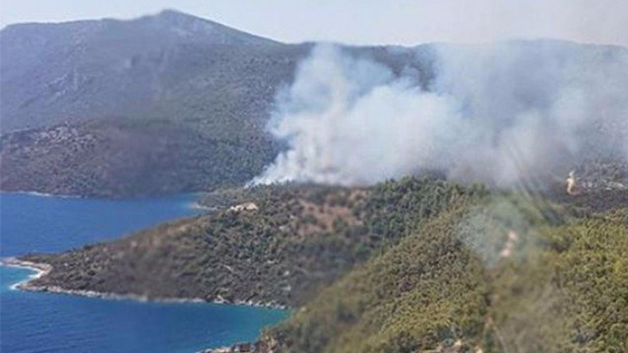 Muğla'da orman yangını