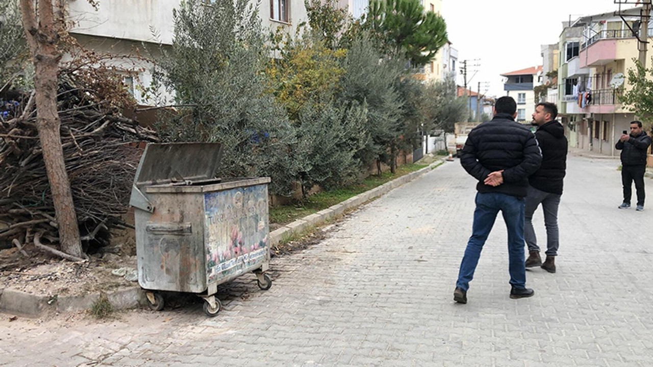 Turgutlu'da yine 4 bacağı da kesik kedi ölüsü bulundu