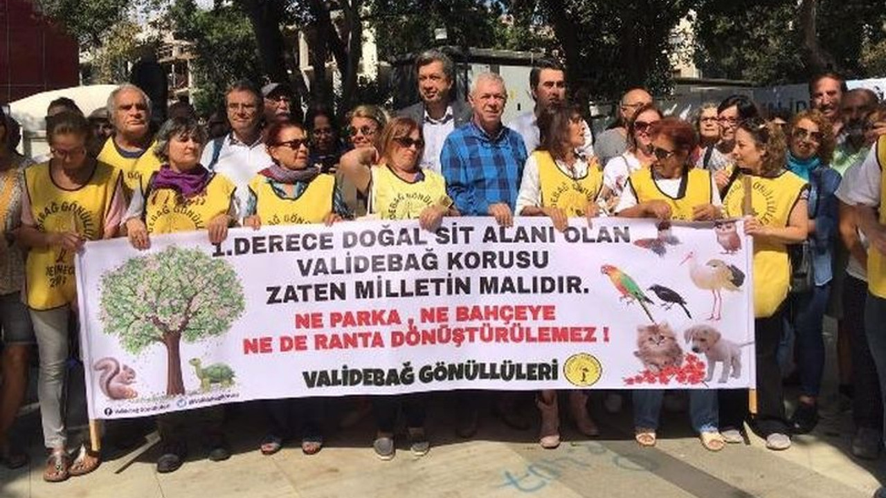 Validebağ'da direniş kazandı: Mahkeme, AKP'li belediyenin 'talan' ihalesini iptal etti