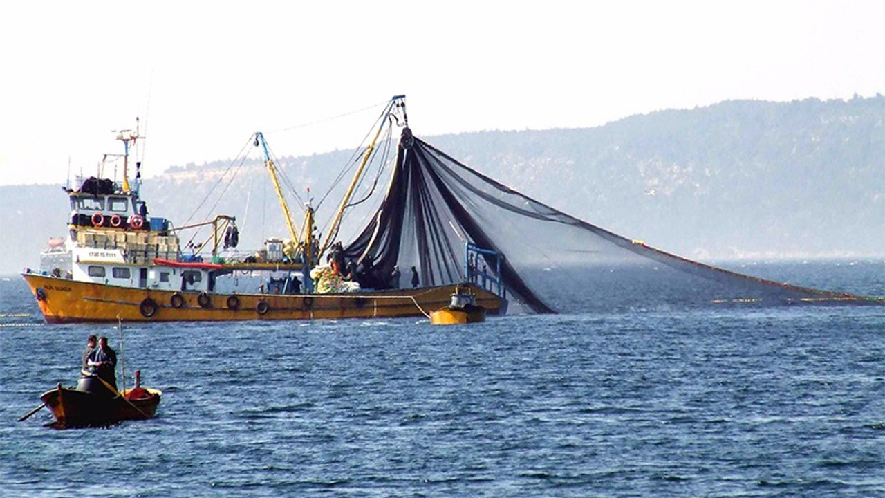 İşte sezonun ilk balık fiyatları