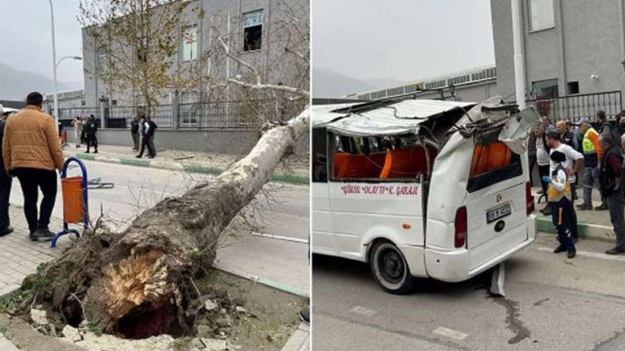 Türkiye'de lodos etkisi: Rüzgarın hızı 129 kilometreyi ulaştı, 5 ölü, çok sayıda yaralı var