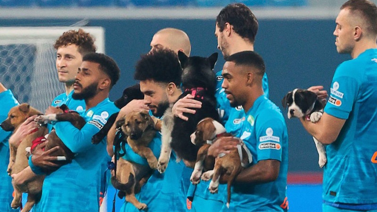 Zenit'ten hayvanseverleri mutlu eden hareket: Sahaya köpeklerle çıktılar