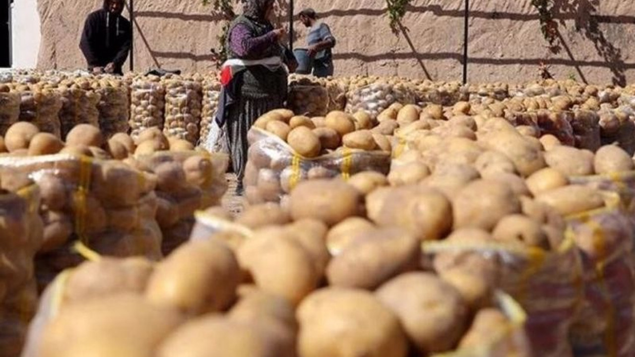 Sofrada lüks haline geldi: Böyle giderse patates soğan ithalatı başlayacak