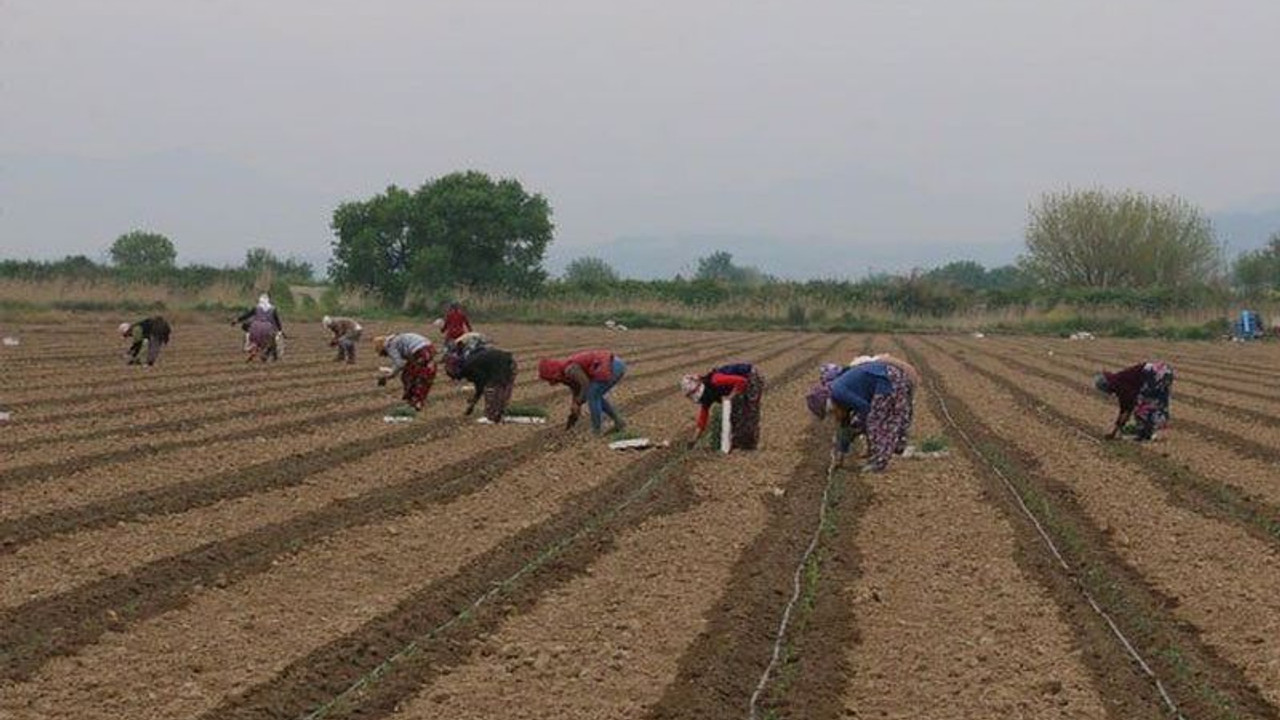 Çiftçi ve esnafta kriz: Sosyal güvenlik sisteminden gittikçe uzaklaşılıyor