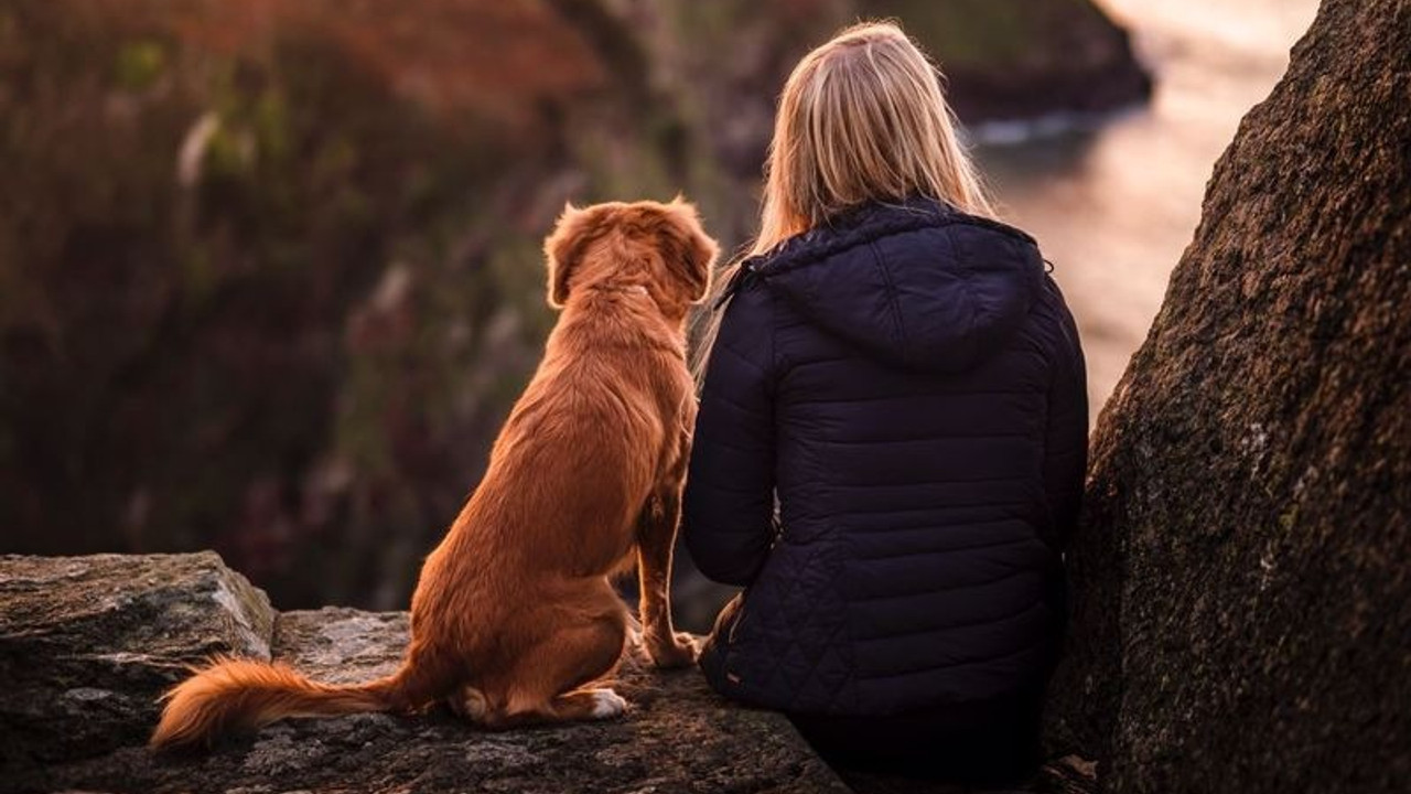 Araştırma: Köpekler insanların 'en eski' dostu