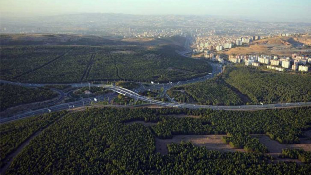 İş makineleri ODTÜ ormanına girdi