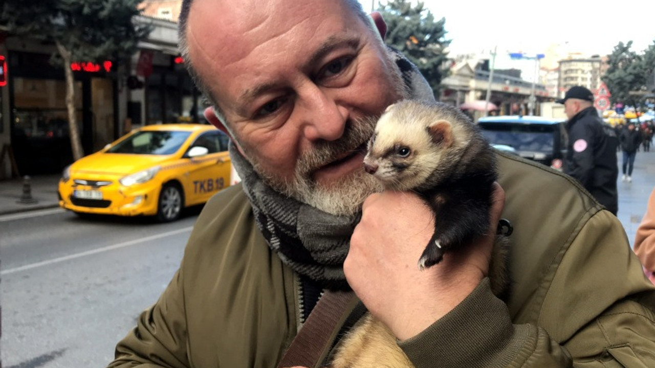 İspanya'dan gelen gelinciği, Türkiye'deki köpekler emzirdi