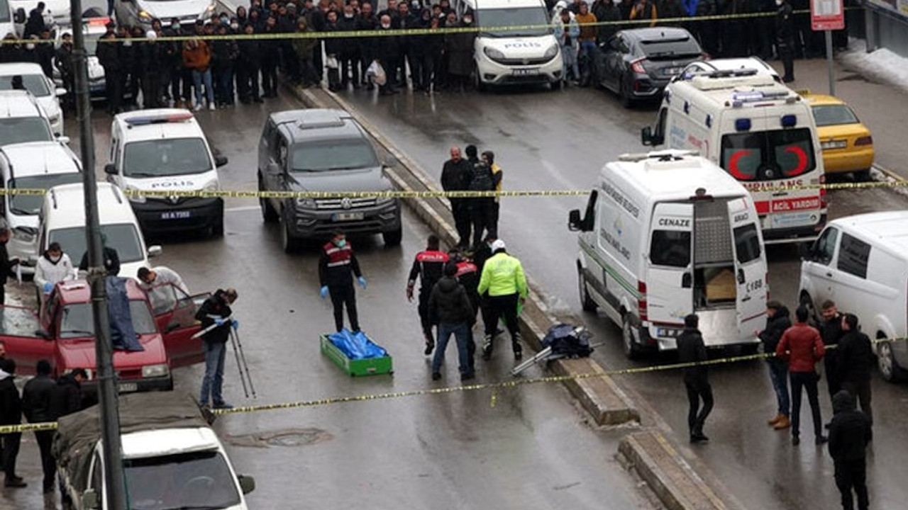 Van'da iki ceset bulundu; bir kişi gözaltında