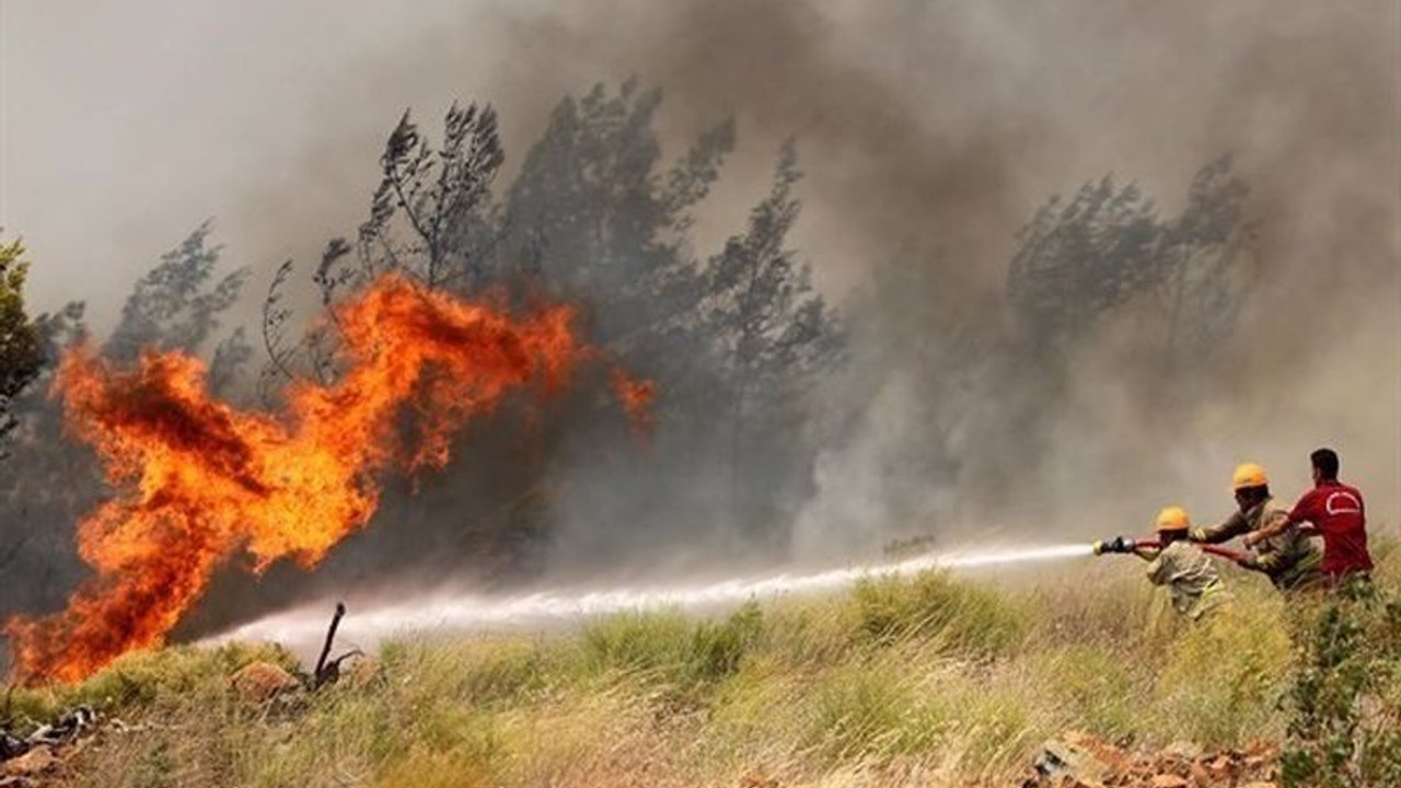 Bakanlık orman yangınlarıyla mücadele bütçesini azalttı