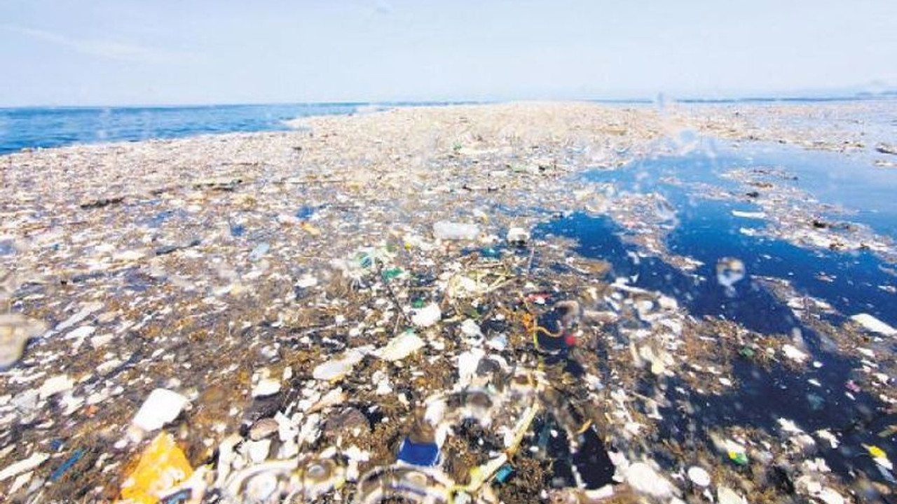 Ekolojik tehlike eşiğini aştı: Denizdeki plastiği yutmayan kalmadı