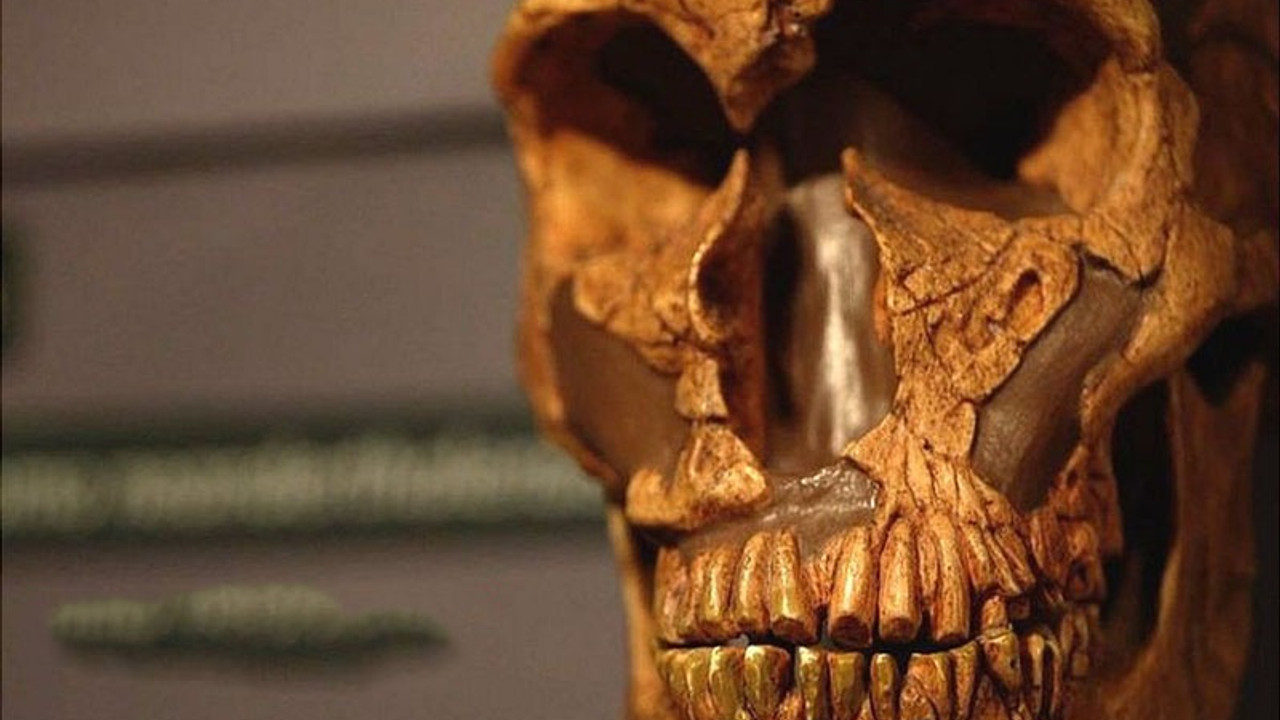 Neandertallerin soyunu modern insanların ataları mı kuruttu?