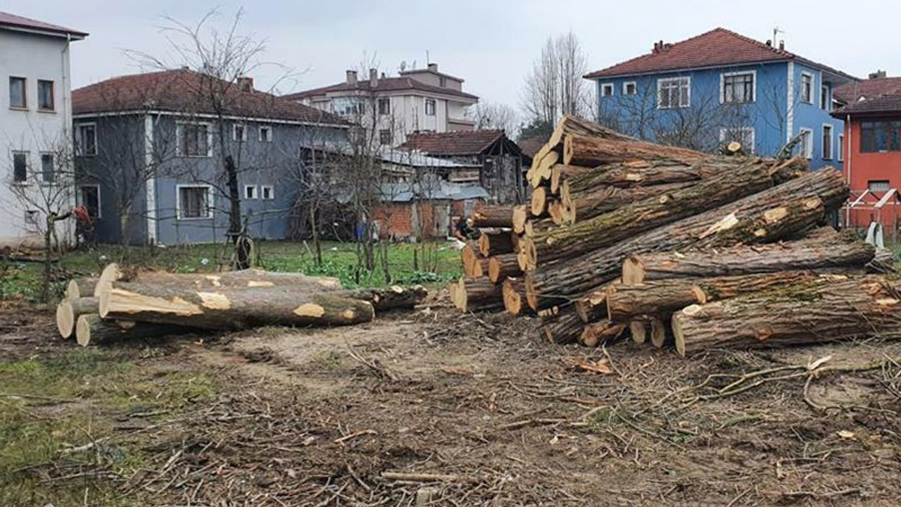 Mimarlar Odası Ankara Şubesi: Doğal varlıklarımızdan elinizi çekin