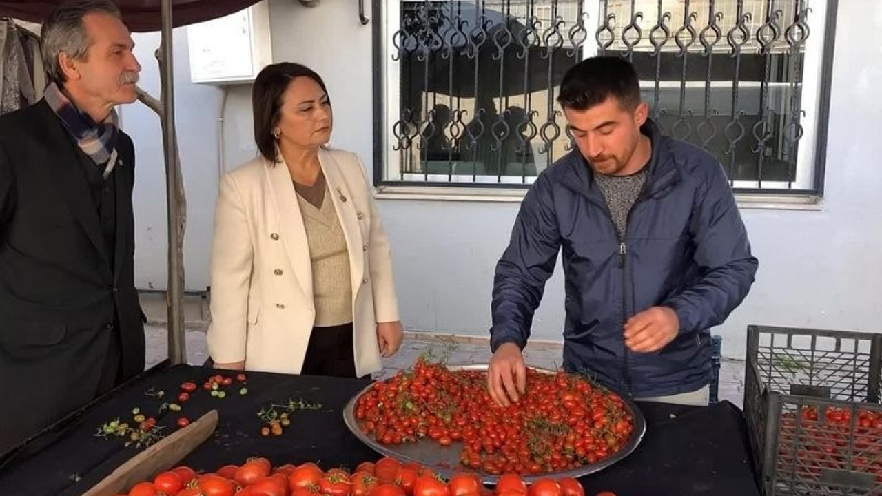 Pazarcılık yapan felsefe öğretmeni özetledi: Gençler yurt dışına mecbur bırakılıyor