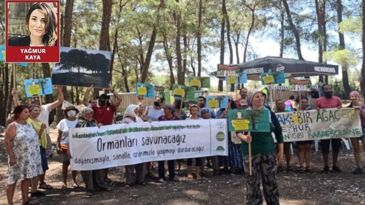 Akbelen Ormanı davasında bilirkişi keşfi öncesi yönetmelik değişti