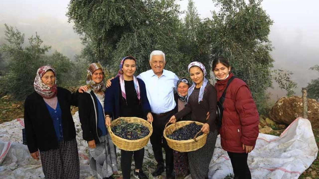 Muğla Büyükşehir Belediye Başkanı Gürün’den zeytinliklerin korunması için mücadele hamlesi