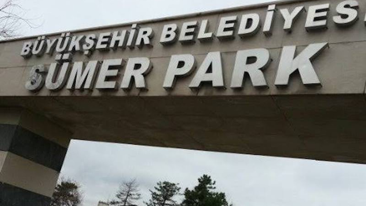 Diyarbakır'da kayyım 'Güvenlik Soruşturması' gerekçesiyle 33 kişiyi işten attı