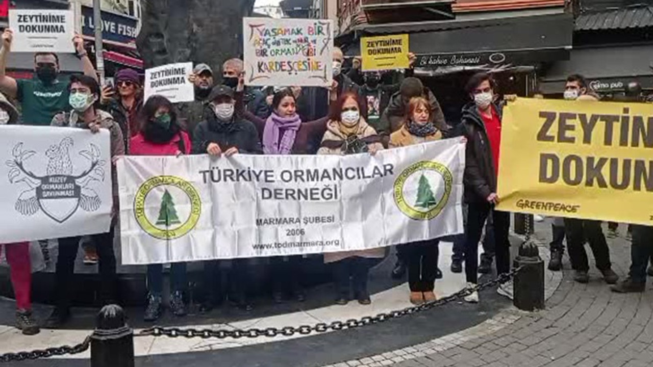 Zeytinliklerin madenciliğe açılması protesto edildi: 'Maden ve enerji şirketleri ayrıcalıklı mı?'