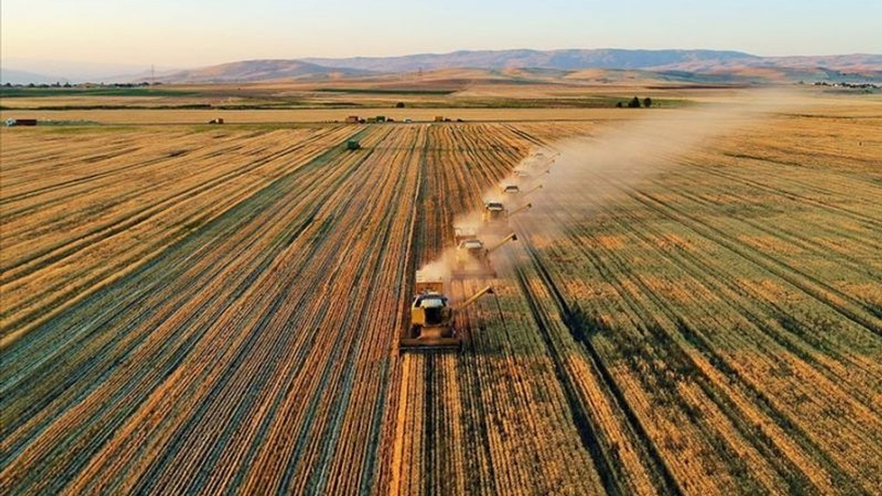 Tarımsal destek ödemeleri bugün başlıyor