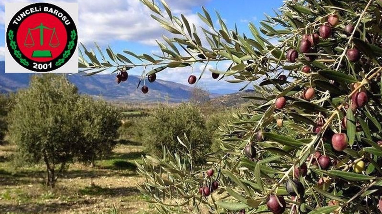 Dersim Barosu: 'Ölmez ağacı'na ölüm fermanını kabul etmiyoruz