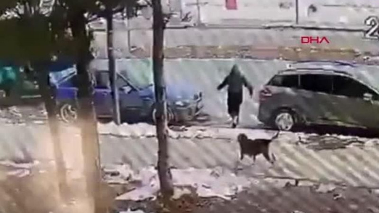 Sivas'ta köpekten kaçan 12 yaşındaki çocuğa otomobil çarptı