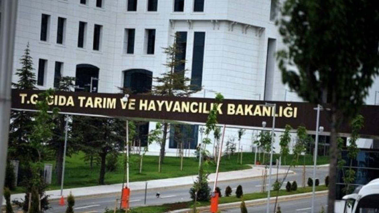 Cumhurbaşkanı atadı ama bakanlıkta adı yok: Çalışmadan genel müdür maaşı alıyor