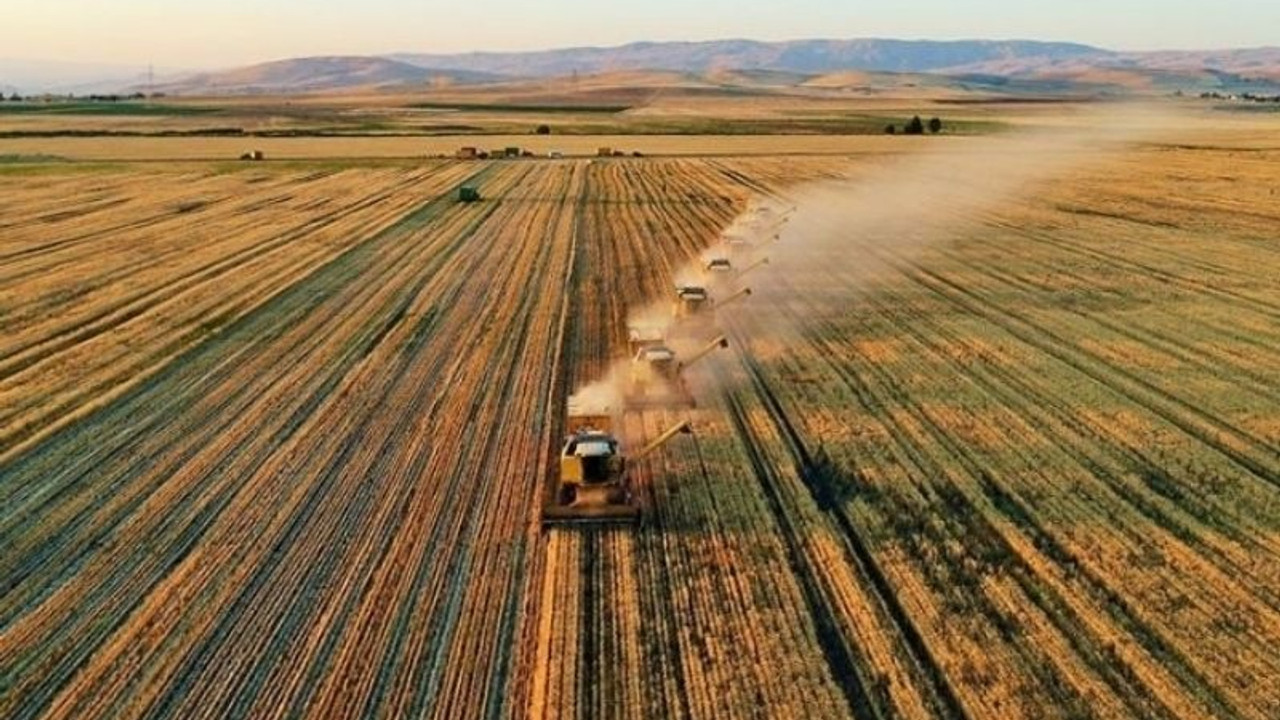 Tarım Kredi Kooperatifleri'nden gübre satış fiyatlarına zam