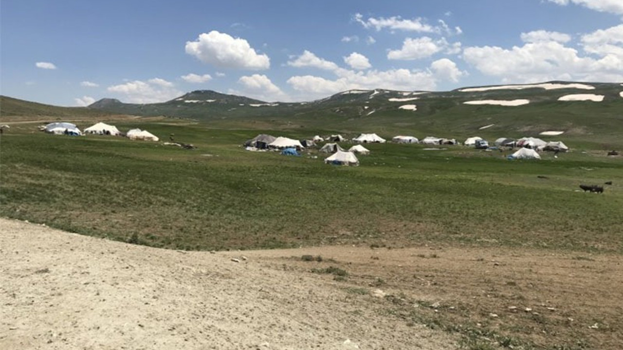 Hakkari ve Van’da çobanlara ‘güvenlik soruşturması’ şartı