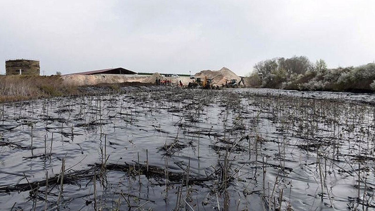 Edirne'de fuel oil havuzu patlayan tesis ÇED'siz çıktı