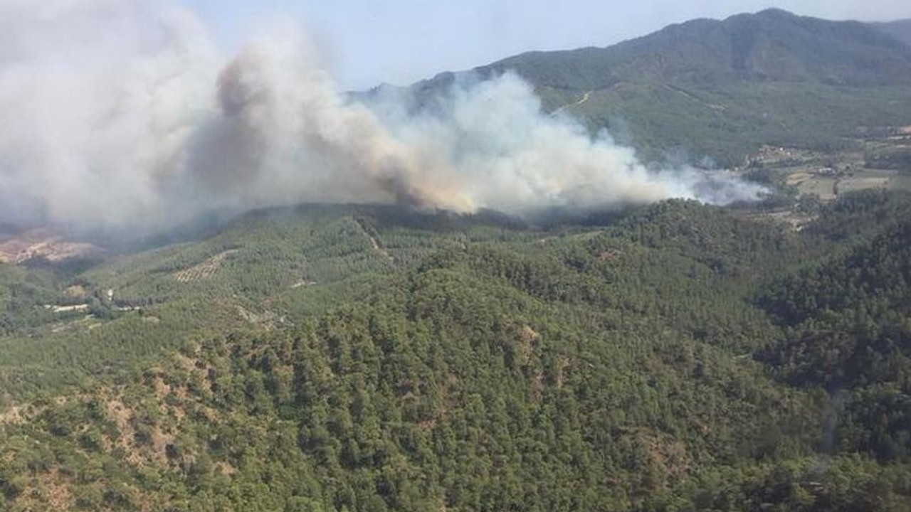 Yanan ormanlık alanda Orman Müdürü’nün de dahil olduğu milyonlarca liralık vurgun yapılmış