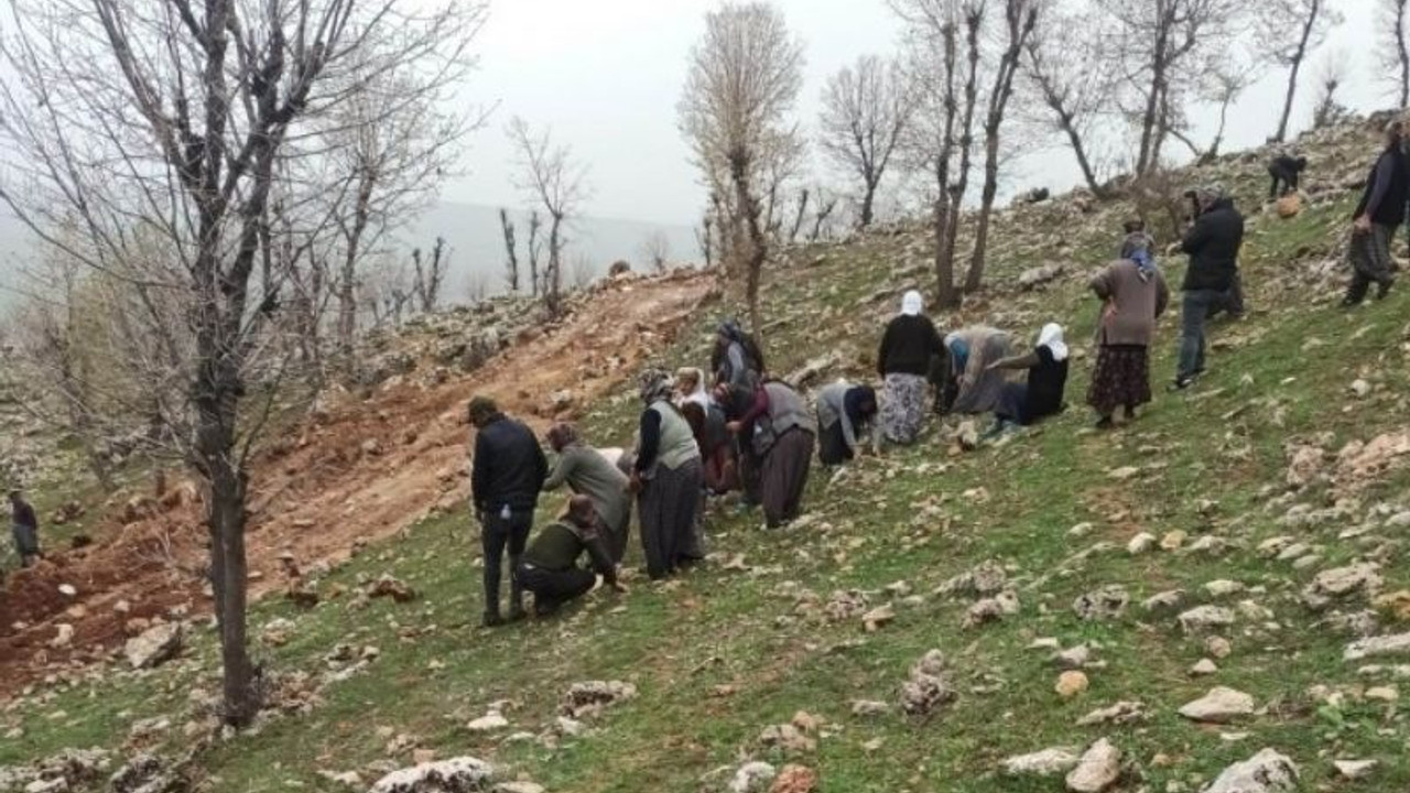 Adıyaman’da kadınların direnişi iş makinelerini durdurdu