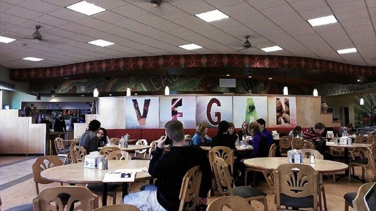 Bir üniversiteden daha vegan menü kararı: 'Öğrenci odaklı yönetim'