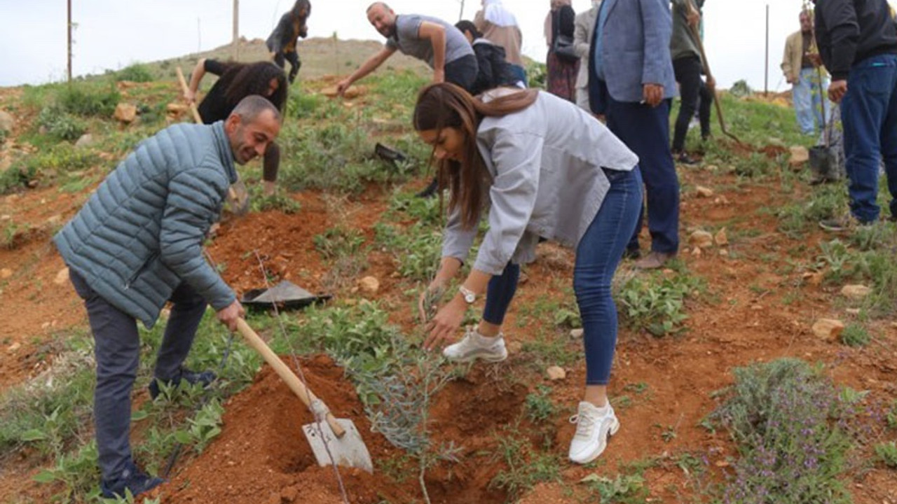 Mardin ve Adana'da Öcalan'ın 73'üncü yaş günü dolayısıyla fidanlar dikildi