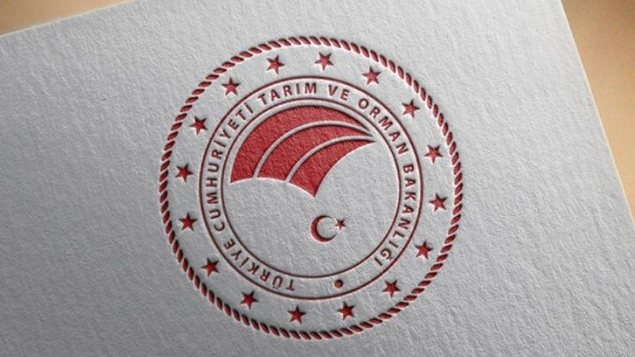'2021- 2022 balıkçılık av sezonu yasağı' yarın başlıyor