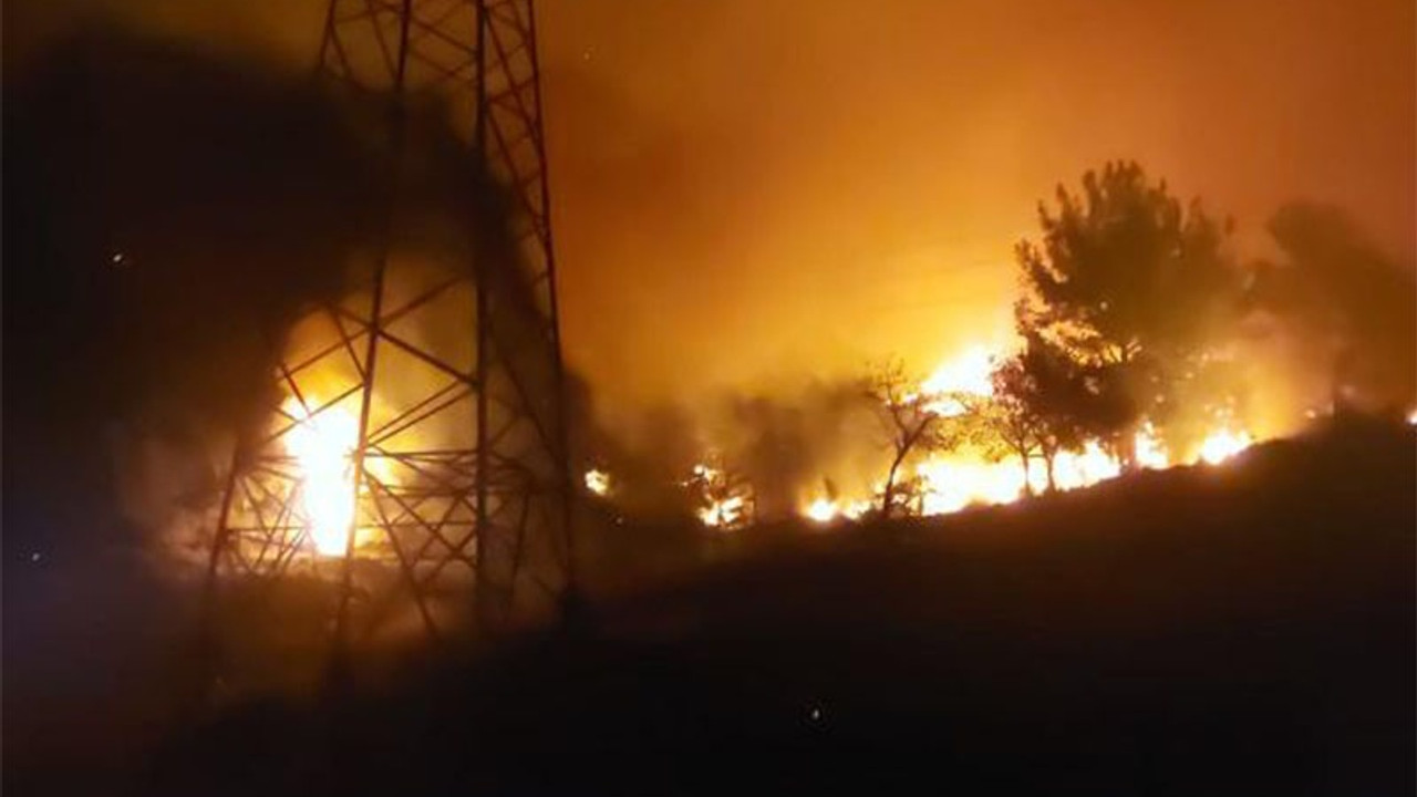 Hatay'da orman yangını: 2 kişi gözaltına alındı