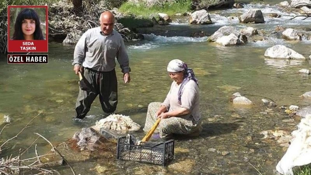 Diril çifti duruşmasında tutuklama çıktı: Yeni tutuklamalar olabilir