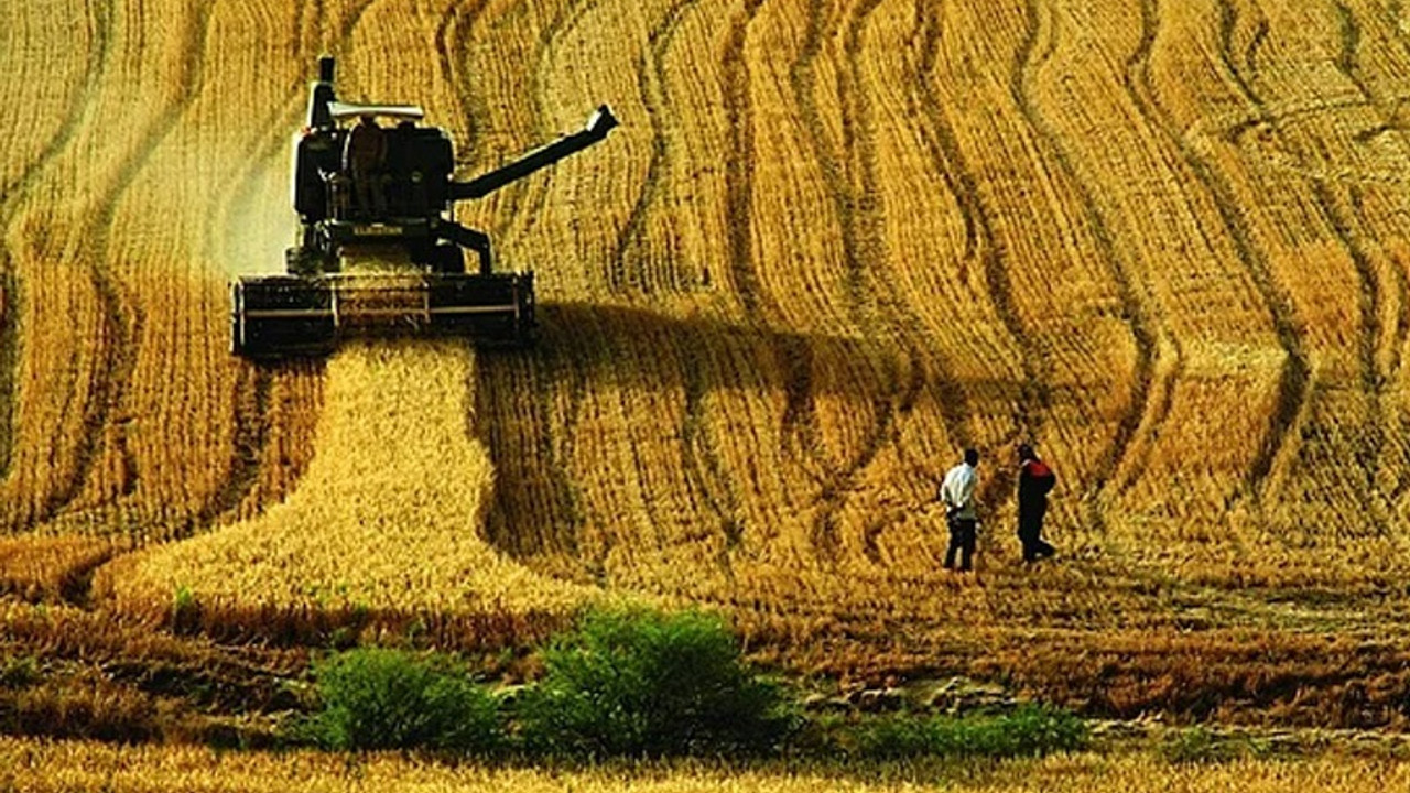 Çiftçiler toprağa küsüp mesleği terk ediyor: Artık hangi çiftçi para kazanabiliyor?