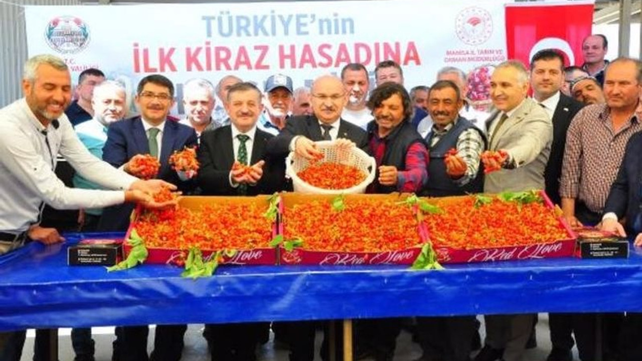 Manisa'da 1 kilo kiraz 700 TL'ye satıldı, vali ve belediye başkanı da törene katıldı