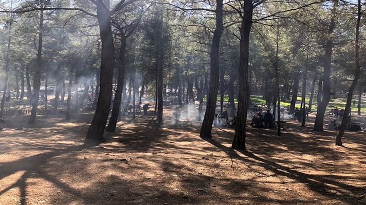 İzmir'de 26 ormanlık alanda piknik yapmak yasaklandı