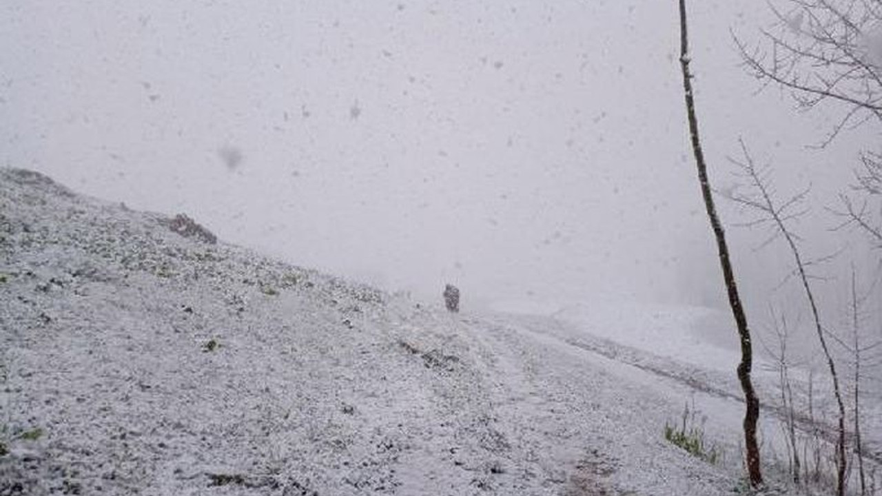 Hakkari'de pancar toplamaya giden kadınlar tipiye yakalandı