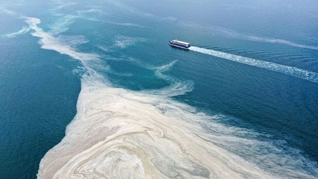 Greenpeace'ten Marmara Denizi için kırmızı alarm