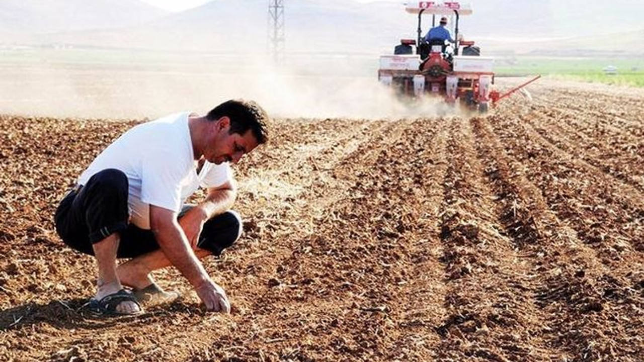 Türkiye'nin tarım emekçileri Dünya Çiftçiler Günü'nü 'kutlayamadı': Zararı telafi etmek artık çok zor