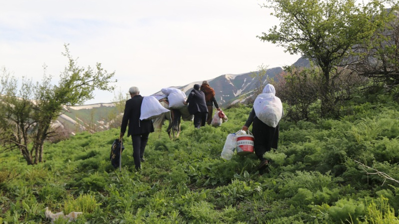 Sınır bölgesinde yaşayanlar köylerine GBT kontrolüyle girebiliyorlar