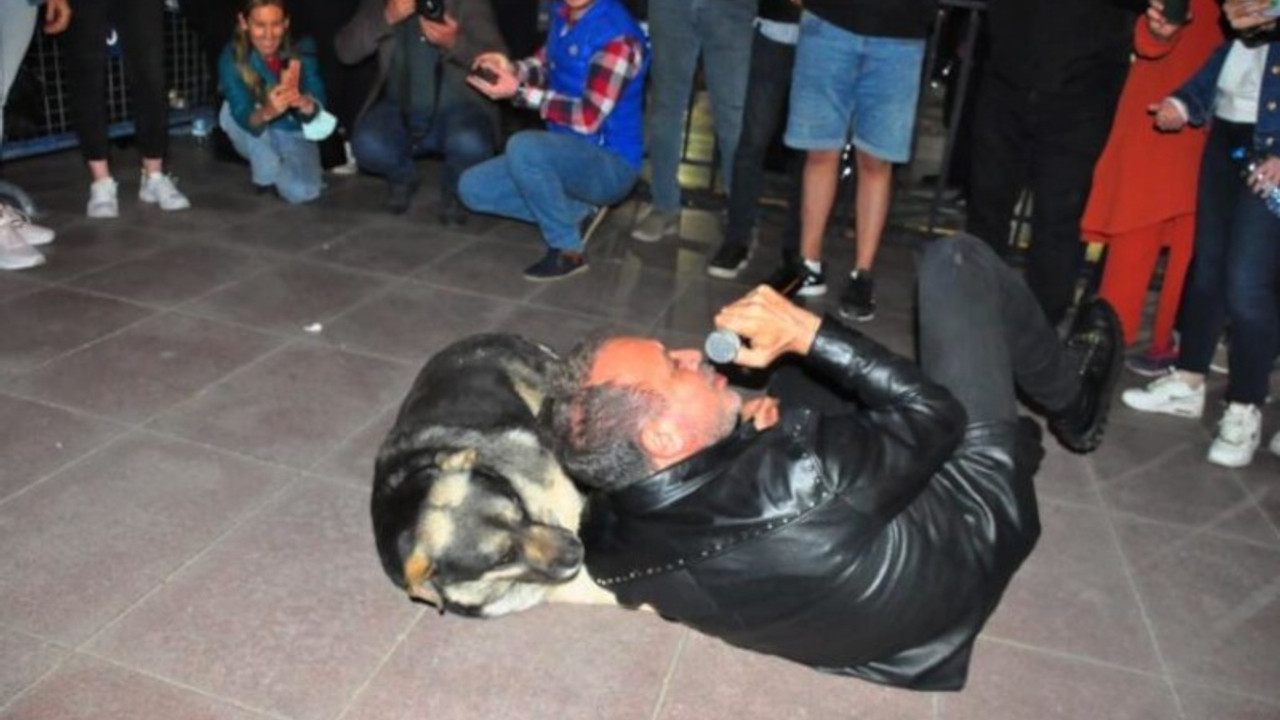 Haluk Levent, sokak köpeğiyle yere uzanarak şarkı söyledi