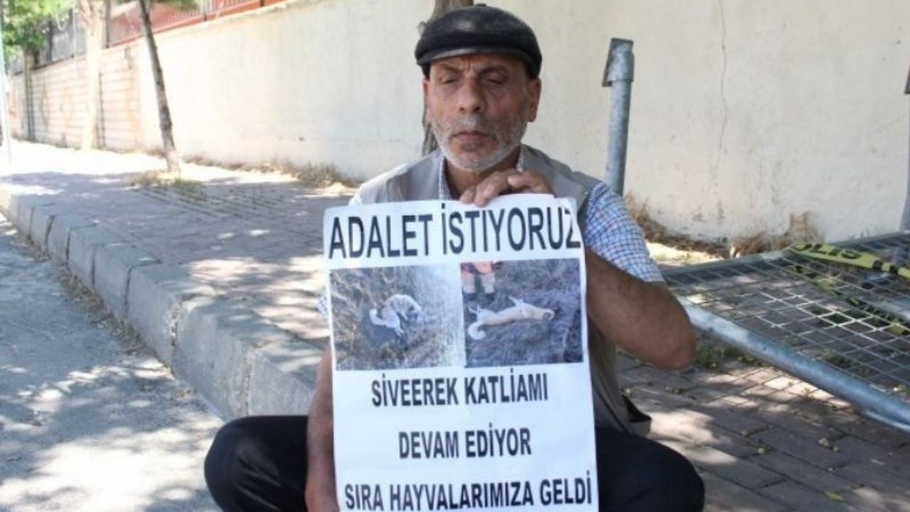 İzol ailesi Urfa Adliyesi önünde: Sadece adalet istiyoruz