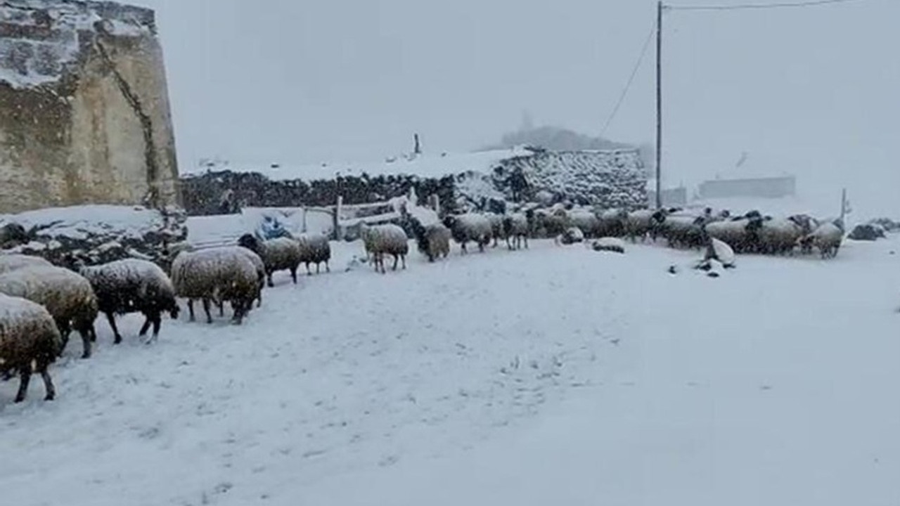 Ağrı'da kar yağışı: Bazı köyler kara büründü