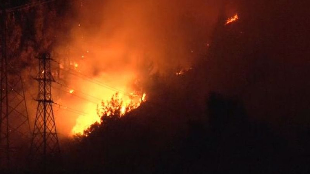 Alanya'da orman yangını: 3 dekar alan zarar gördü