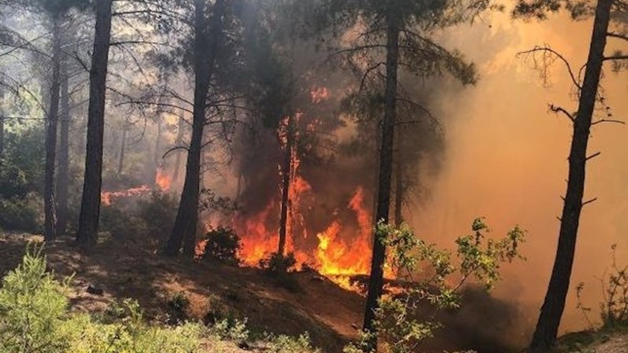 Hatay Valiliği, Özdağ'ı yalanladı: Yangını PKK çıkarmadı