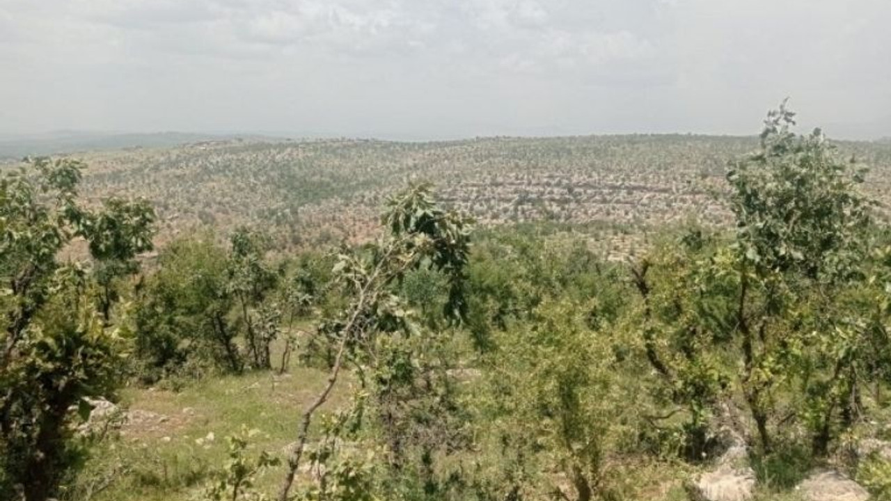 Lice ve Kulp'ta operasyon: Koruculara çoban elbisesi giydirildi