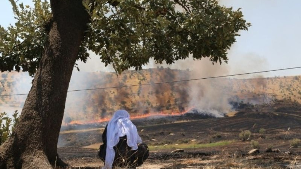 Ekoloji Meclisi: Türkiye'nin her kentine eşit duyarlılık ve ortak mücadele çağrısı